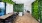 Large Table Surrounded By Dynamic Indoor Hanging Garden At J Sol Apartments In Arlington, VA